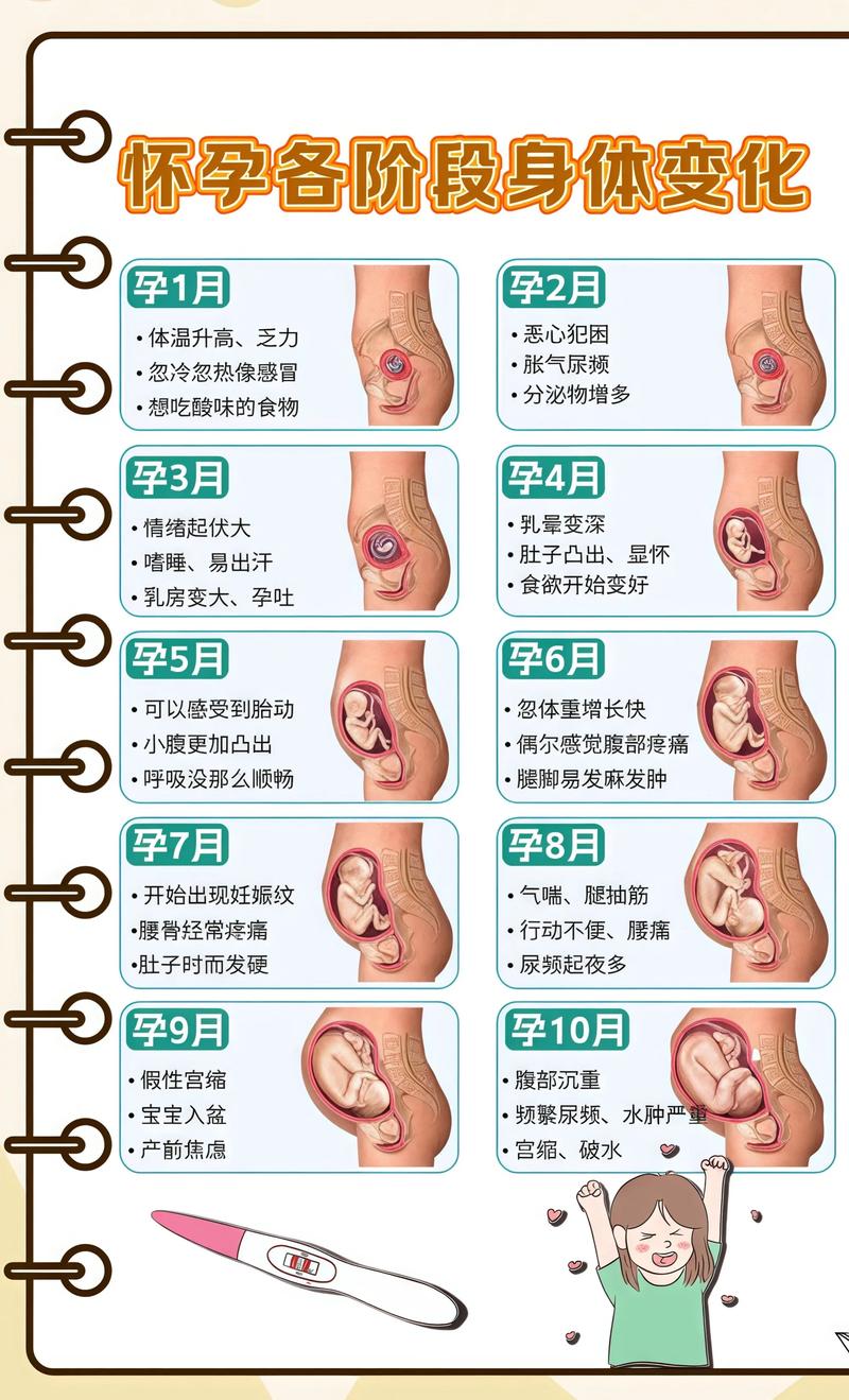 揭秘供卵代孕妈妈怀孕小腹分两节，孕期变化的奥秘抚州代生机构: