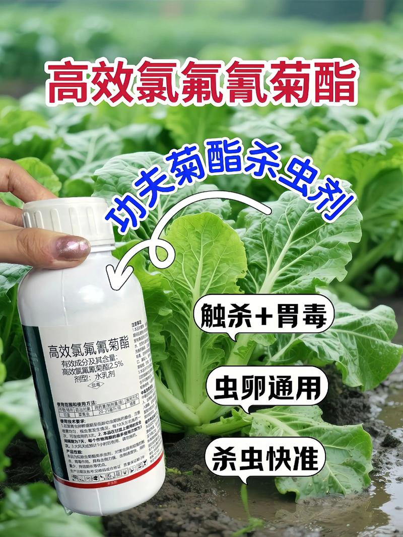 抚州代生中心:农药对供卵代生妈妈的危害